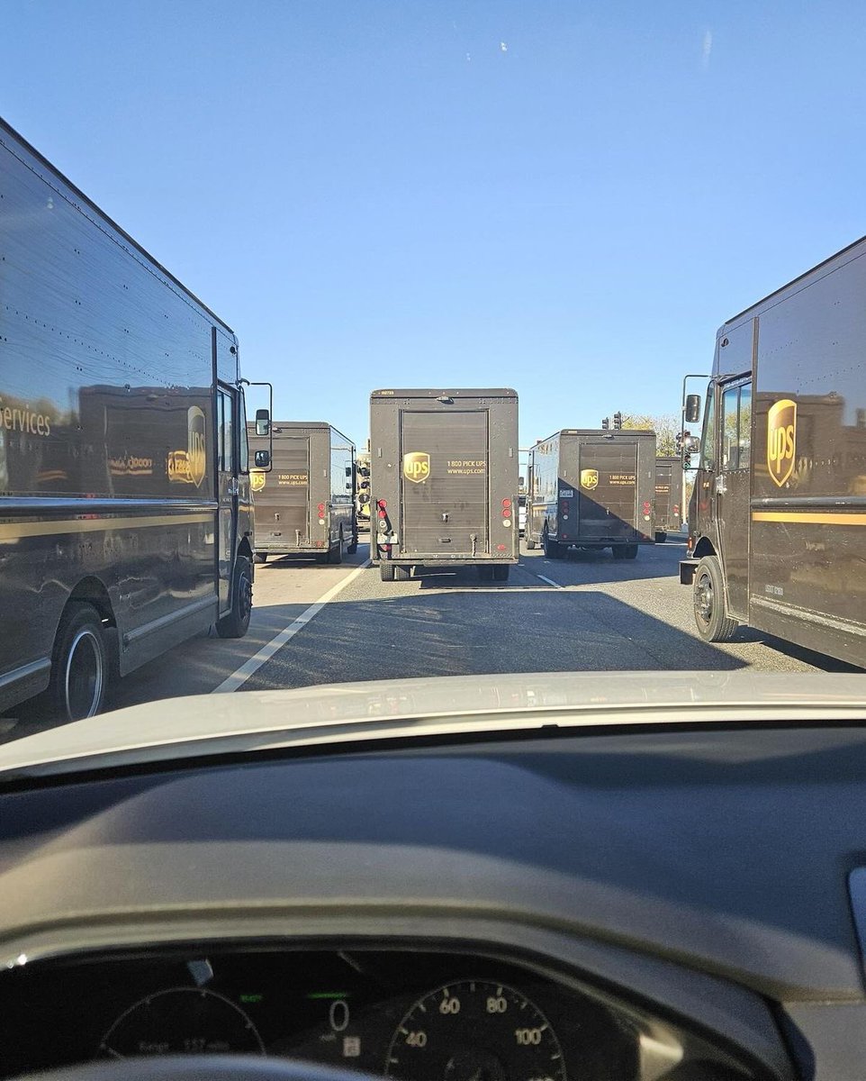 stillthuginn's tweet image. Delivery 🚚