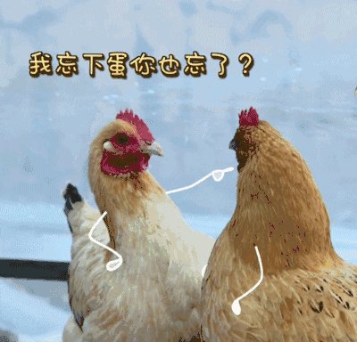 A tweet media
