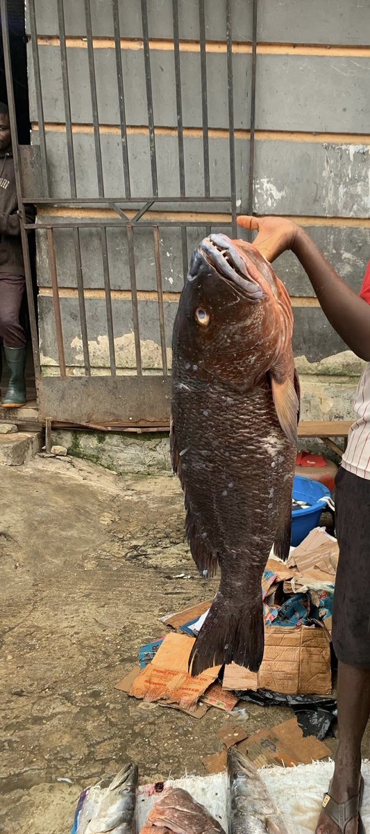 Mimi Jaja tweet media