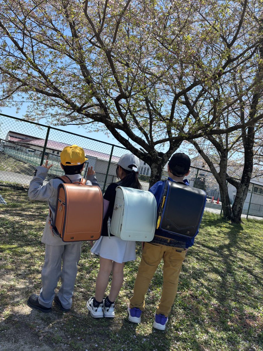 ますれんじゃー tweet media