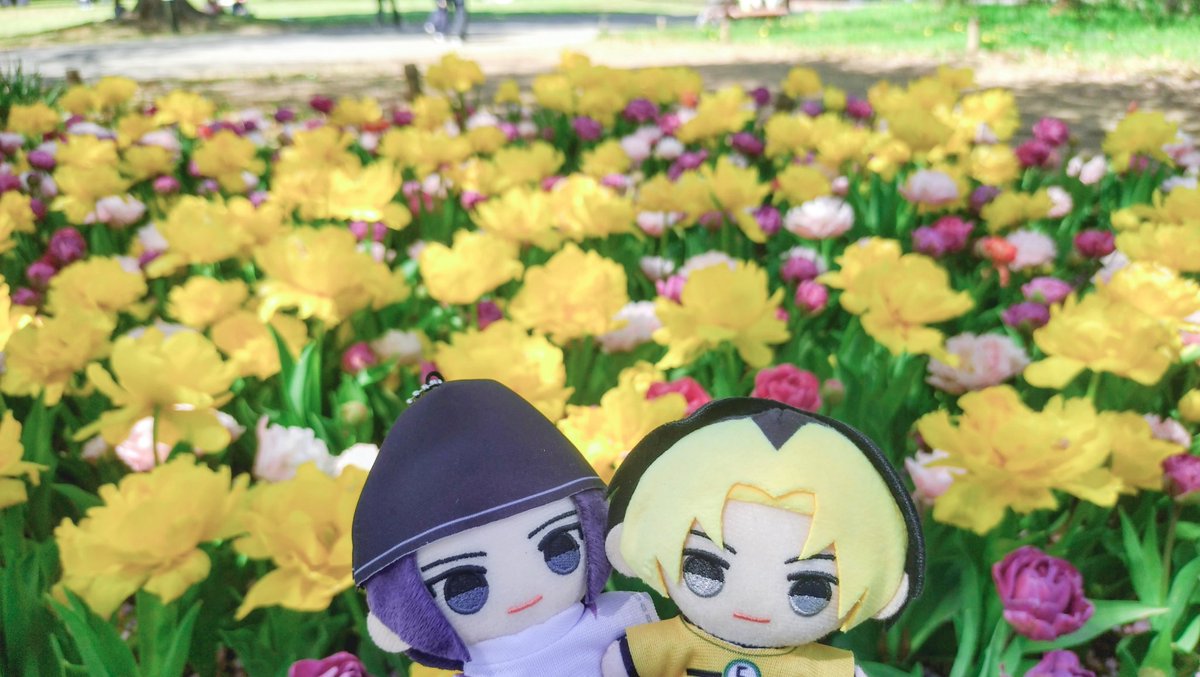 ？！ (@tornadocannon32) on Twitter photo 