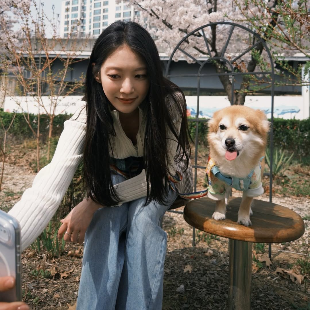 celeb_wish_list's tweet photo. ❏ WHO : #공승연
❏ WHERE : 공승연 인스타그램
❏ BRAND : #ANNANDELMAN #앤안델만
❏ ITEM : PANTS
❏ 출처 : 공승연 인스타그램 https://t.co/vqVD1b8Av2