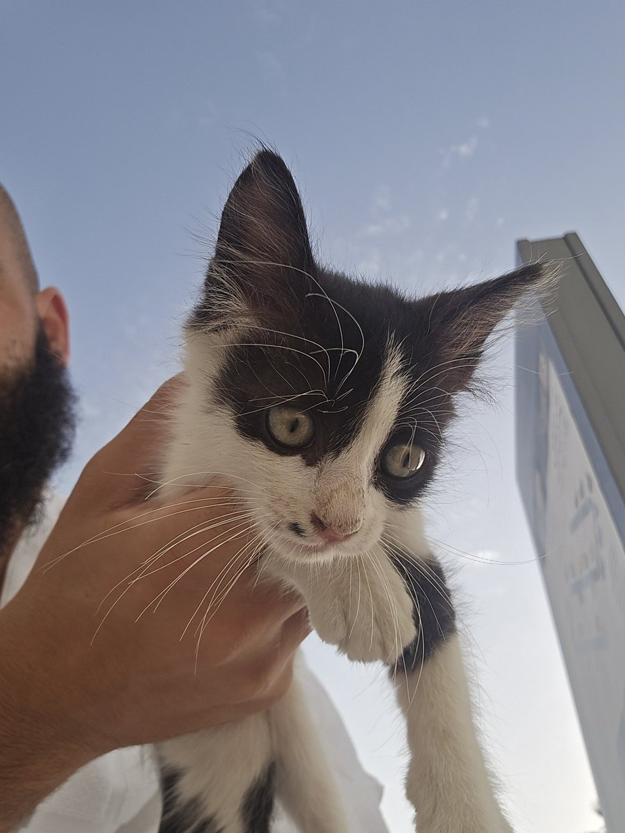 CryptoBadrHD tweet media