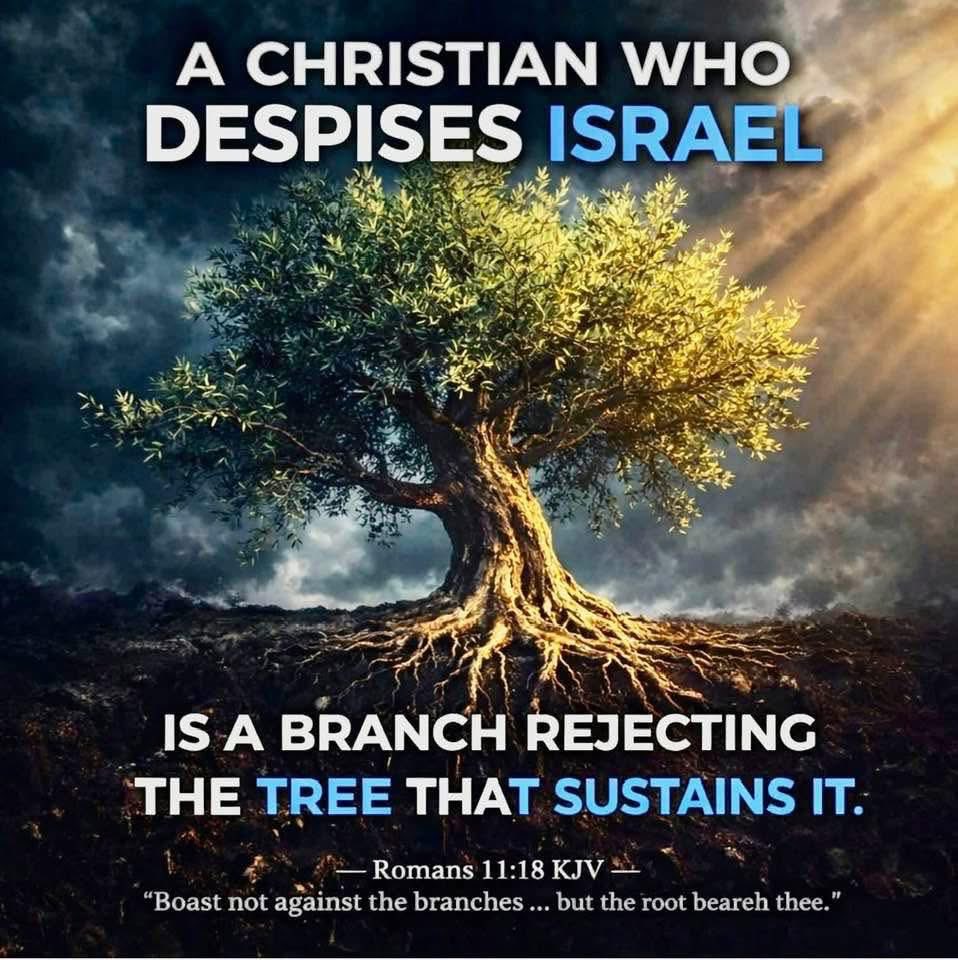 conservative a mom 🇺🇸🇮🇱 tweet media