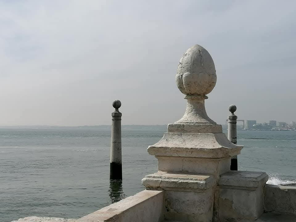 manuelima tweet media