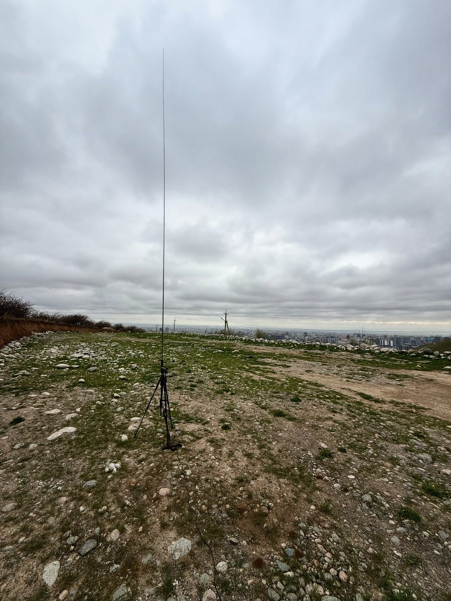 Archie EX0QKT 🇰🇬 tweet media