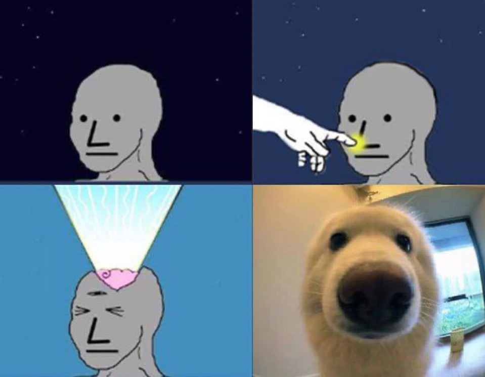 boop tweet media