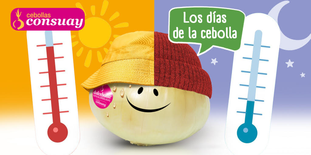 Cebollas Consuay tweet media