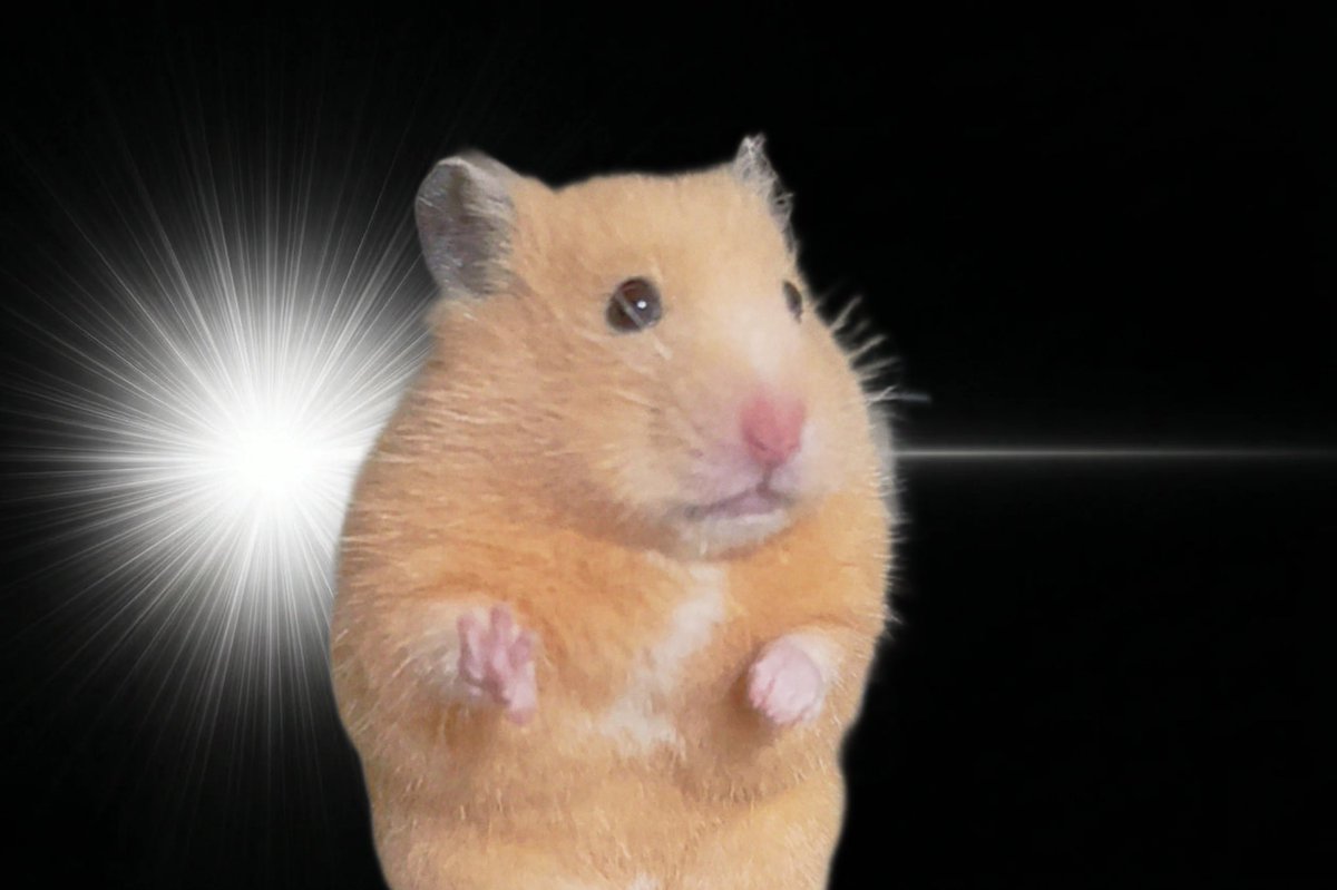 エリス (@0t_eris) on Twitter photo 