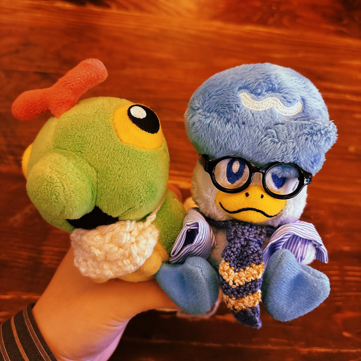 インテリクワッス tweet media