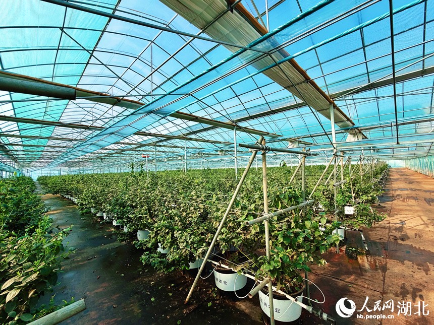 China Science tweet media