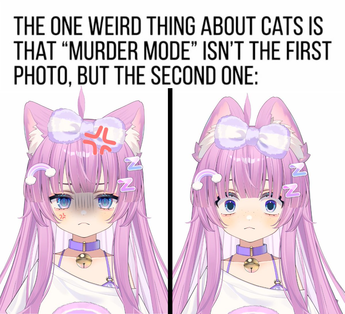 Ameko🌈🌦️ tweet media