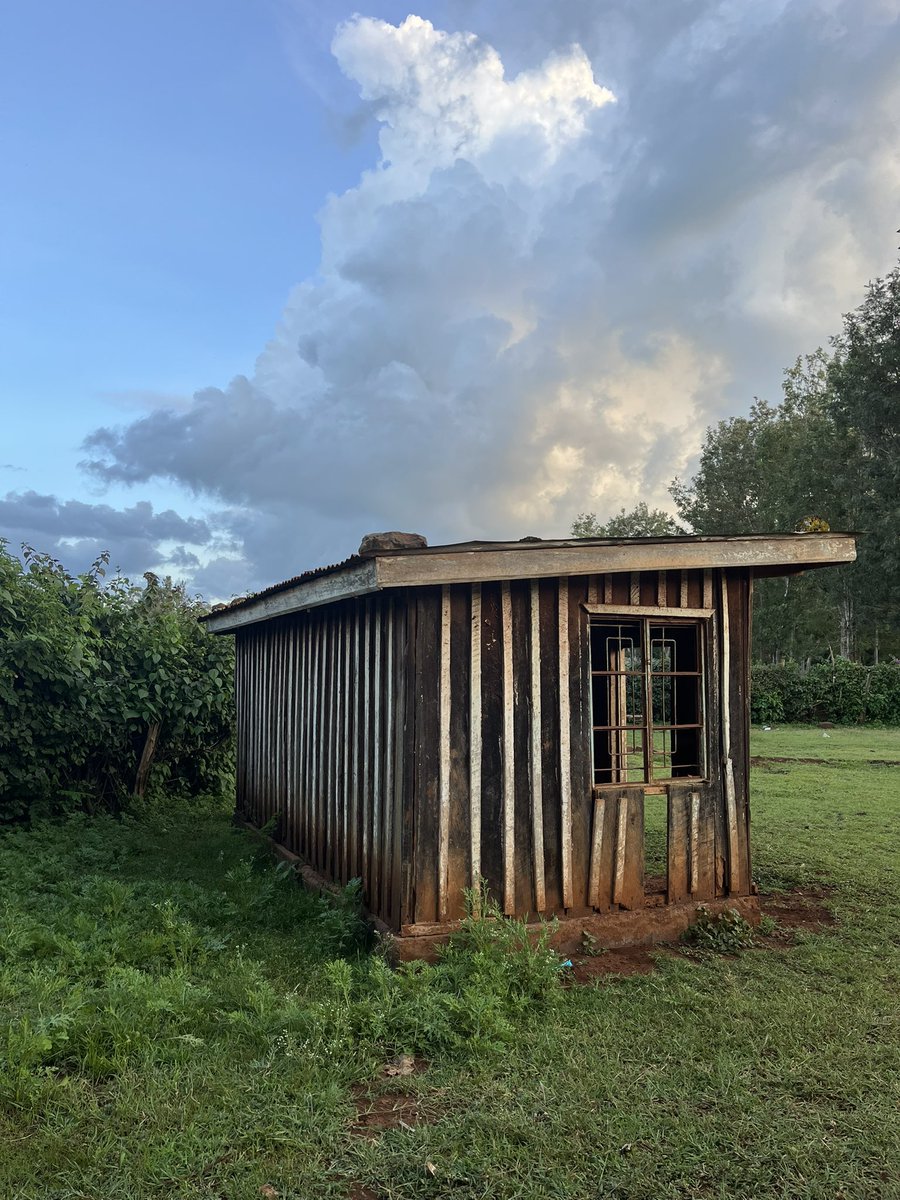 Kusudi 🌿 tweet media