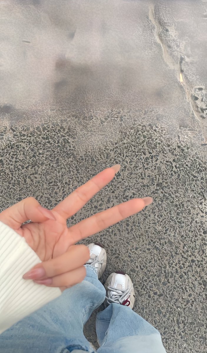 广州猫尾娘 tweet media