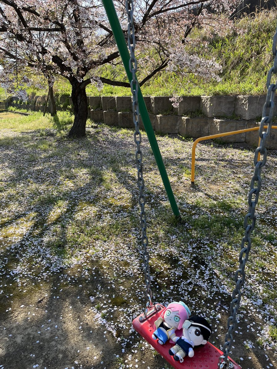 ワカジイ tweet media