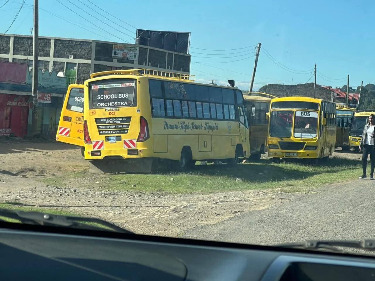 niko kadi🐋 tweet media