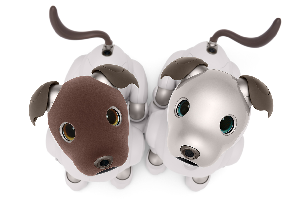aibo tweet media