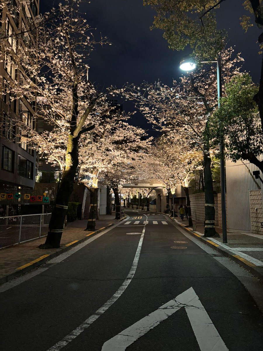 Embajador del Japón en España tweet media