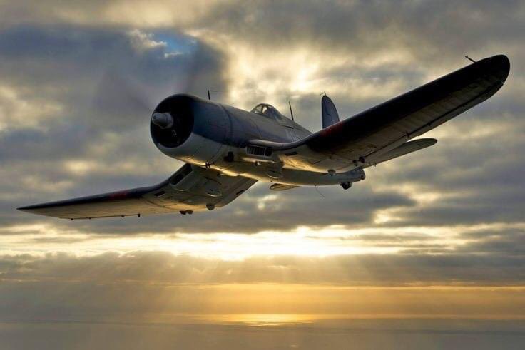 SYLVIA 🇫🇷❤️🇺🇦 tweet media