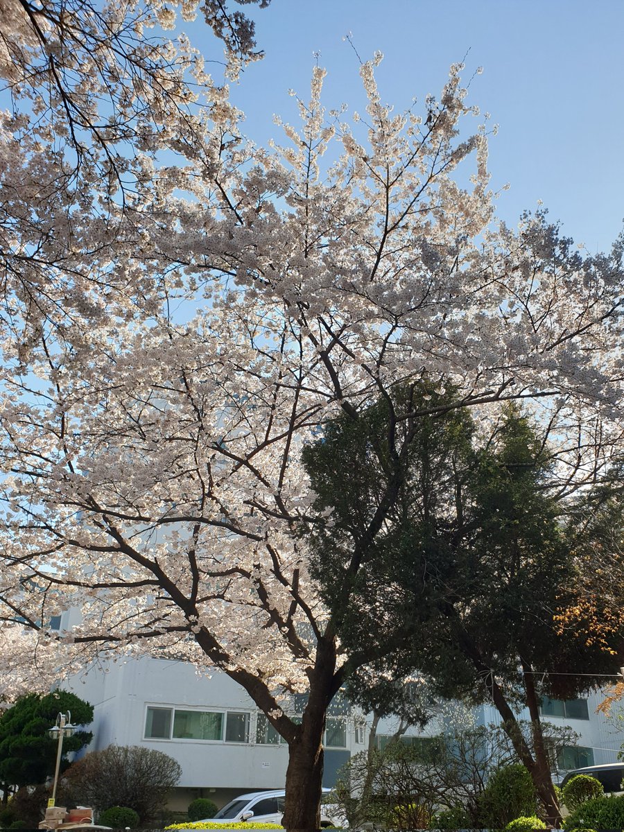 만 (반동결❄) tweet media