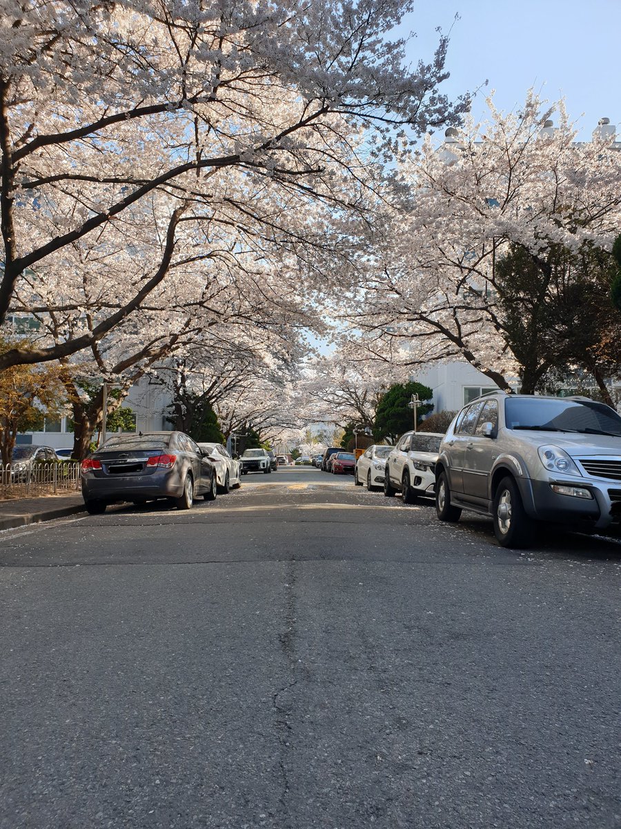 만 (반동결❄) tweet media