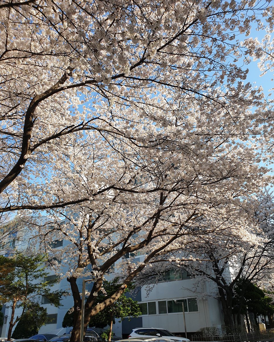 만 (반동결❄) tweet media