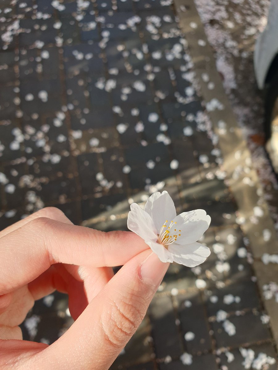 만 (반동결❄) tweet media