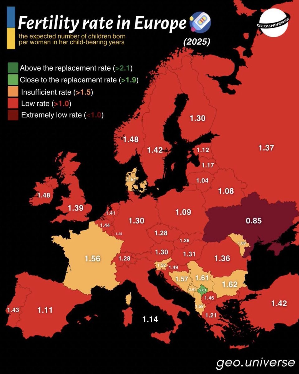 Europe is running out of Europeans. Want higher birth rates? Simply make housing more affordable, childcare cheap, jobs stable, ensure that dads participate as equals in the household, and ensure that careers and kids are compatible. In short: births rise when family life feels