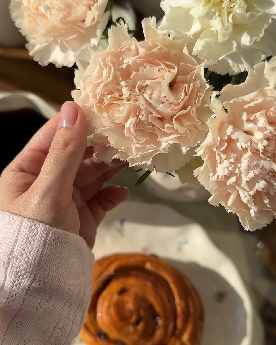 ‏آبّـــريل 🦌 tweet media