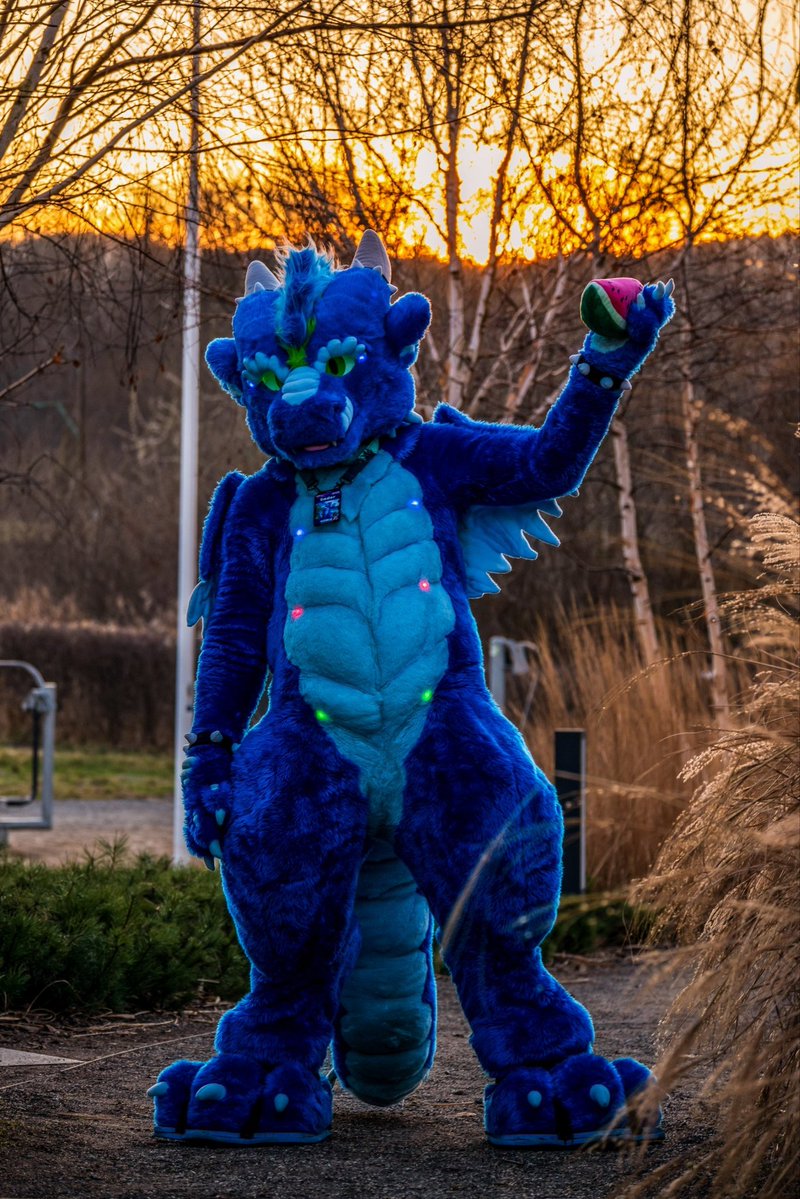 Sader Dragon tweet media