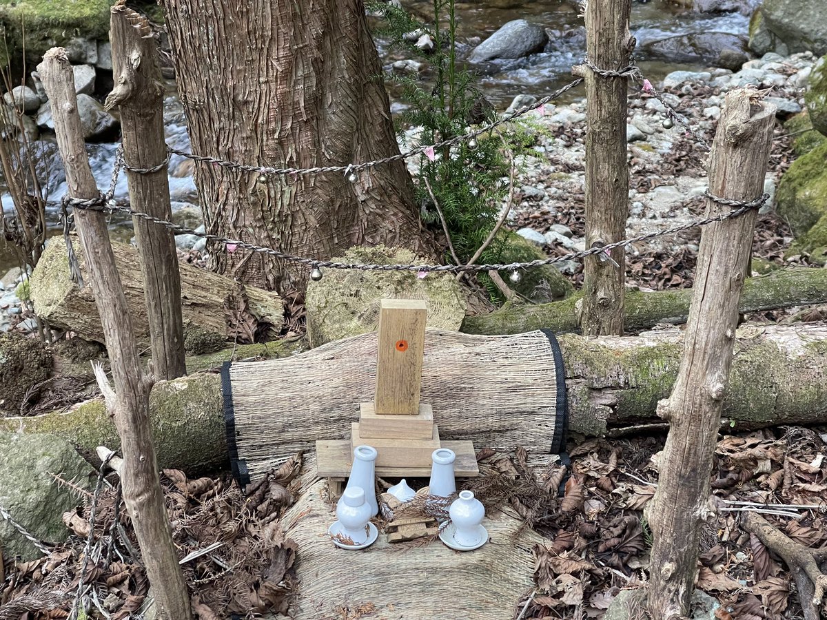 猫温泉 tweet media