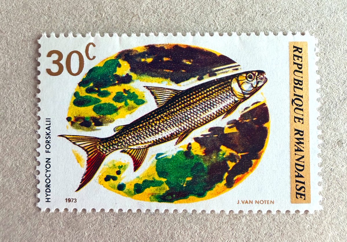 Philatelovely's tweet image. Good morning philatelists!! Today’s Stamp of the Day is this 30 centime stamp from Rwanda.

Issued - 1973
Type - Commemorative 
Print Method - Photogravure

Please share your stamps from 🇷🇼 and have a lovely day.
#stampcollecting #philately #stamps