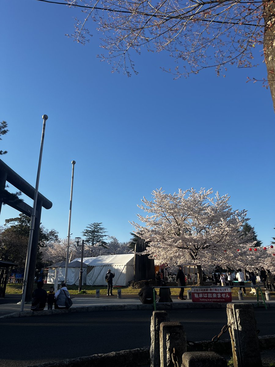 西公園お花見 tweet media
