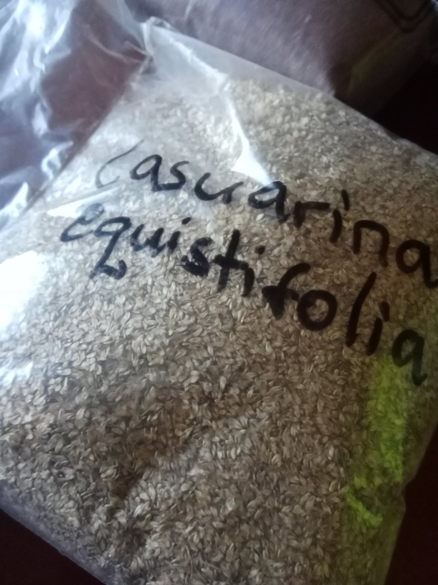 Trinity Forestry Services tweet media