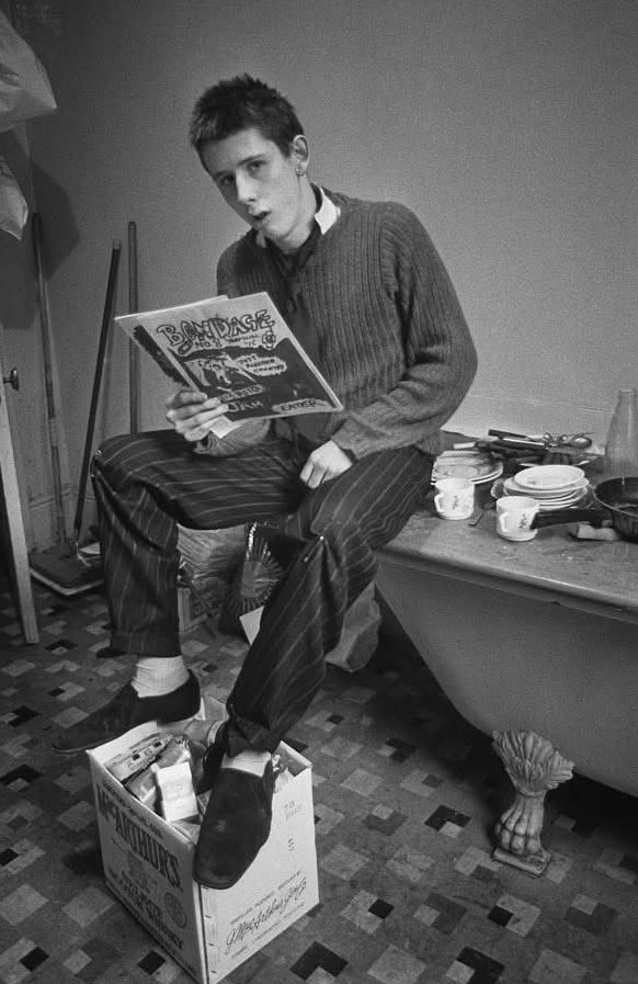 Lazy Stardust tweet media