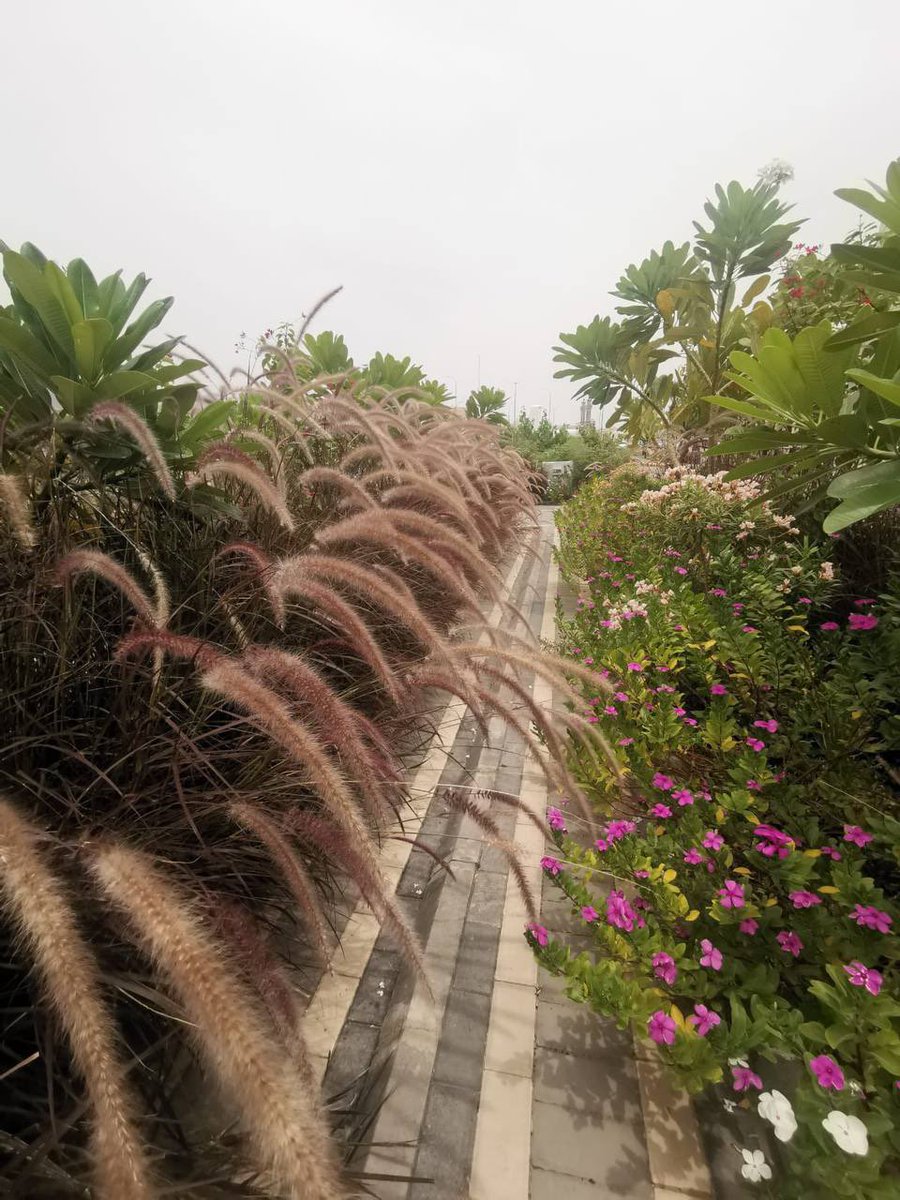 ام أسامه tweet media