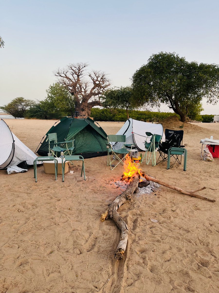 Malick Travel tweet media