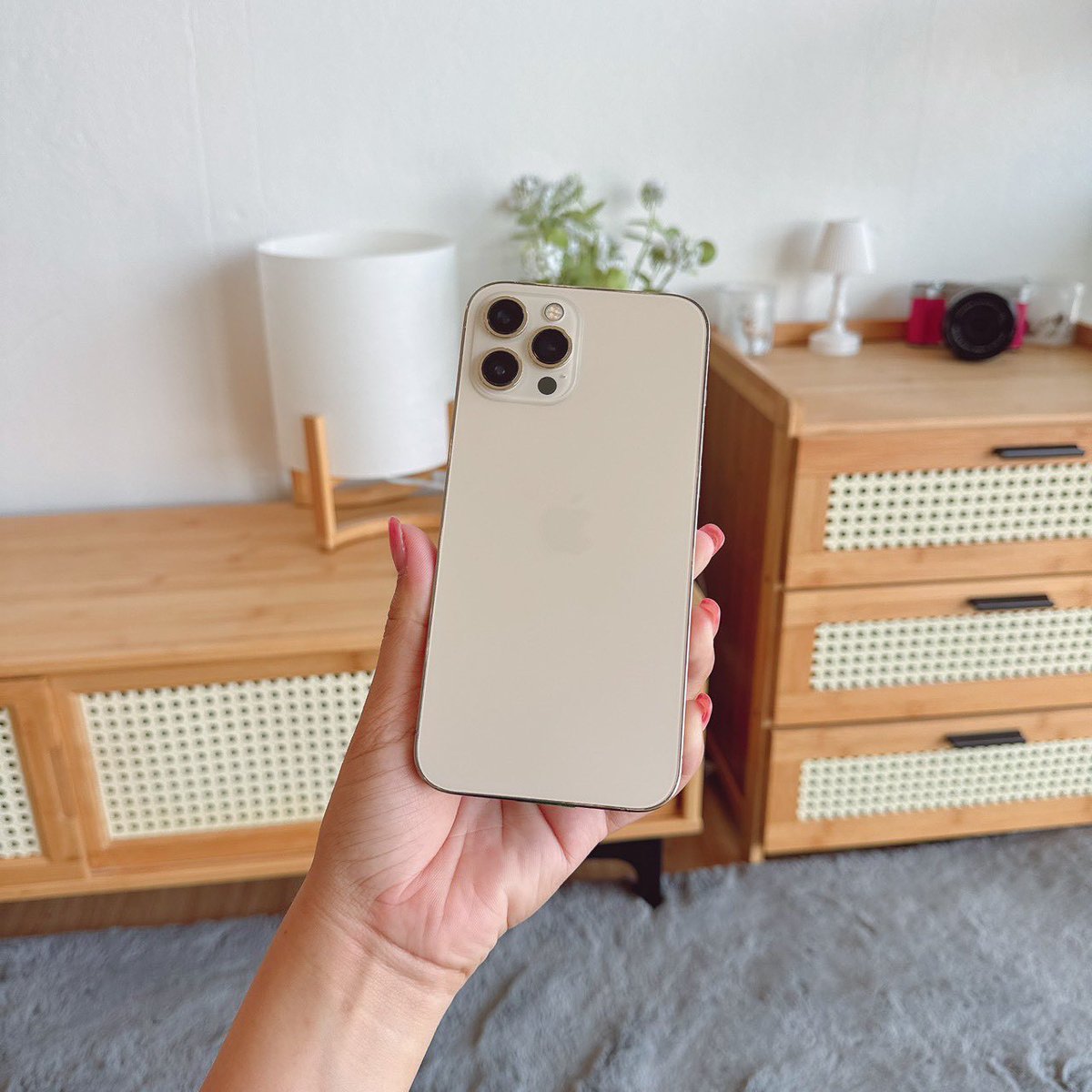 twxtwentyeight2's tweet photo. iPhone 12PM 128GB เครื่องนอก CH
꒰ ราคา : 9,900.- รวมส่งฟรี 🍎✨ ꒱

✿ ใช้งาน+ สแกนปกติ แจ้งจอ ไอคราวไม่ติด
✿ แบต 100% อุปกรณ์ : ชุดชาร์จ แถมเคส

 #ไอโฟนbymm #ไอโฟนมือสอง #โทรศัพท์มือสอง #มือถือมือสอง #ไอโฟนมือ2 #ไอโฟนมือสองราคาถูก #โทรศัพท์มือ2 #ส่งต่อไอโฟน #ส่งต่อมือถือ https://t.co/FLnSMYkkZE