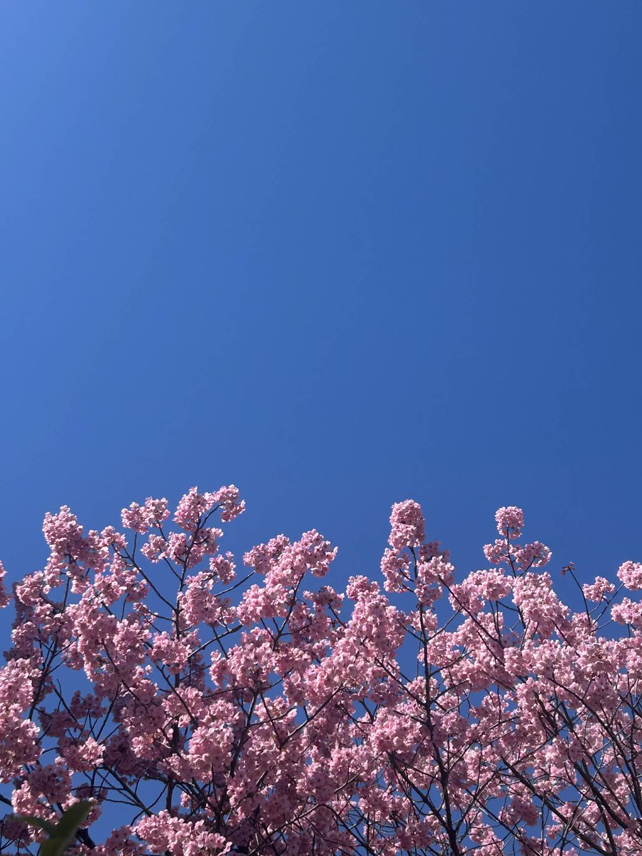 認定NPO法人STORIA（ストーリア） tweet media