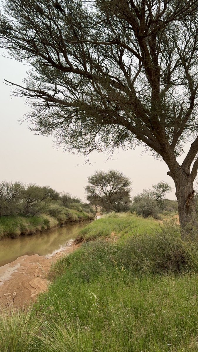 abdulrahman tweet media