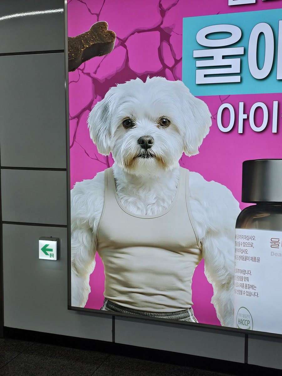 자으나🥝 tweet media