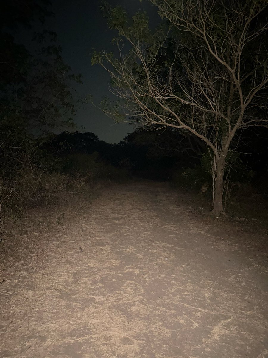 ma_thereal's tweet photo. This is how Jurassic  looks like without the gaiz 😆 https://t.co/kIc8EJiJHE