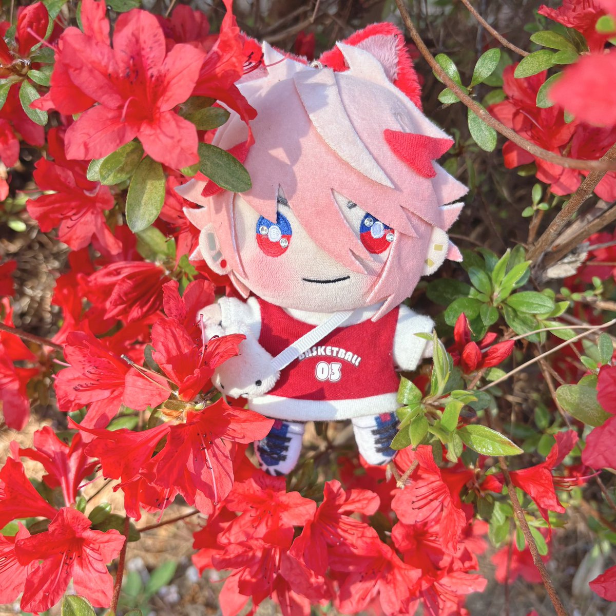 PONGポン tweet media