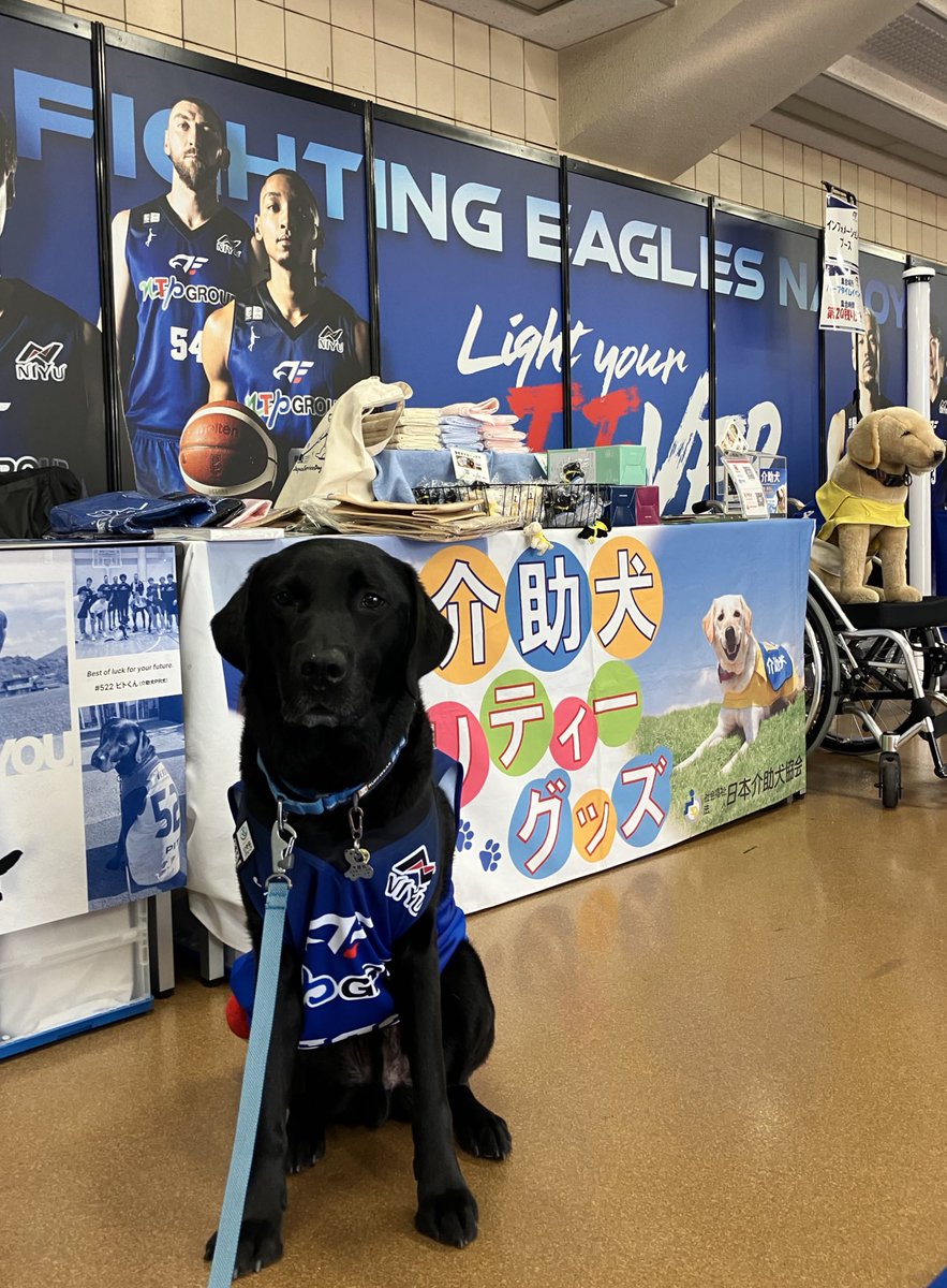 (社福)日本介助犬協会 tweet media