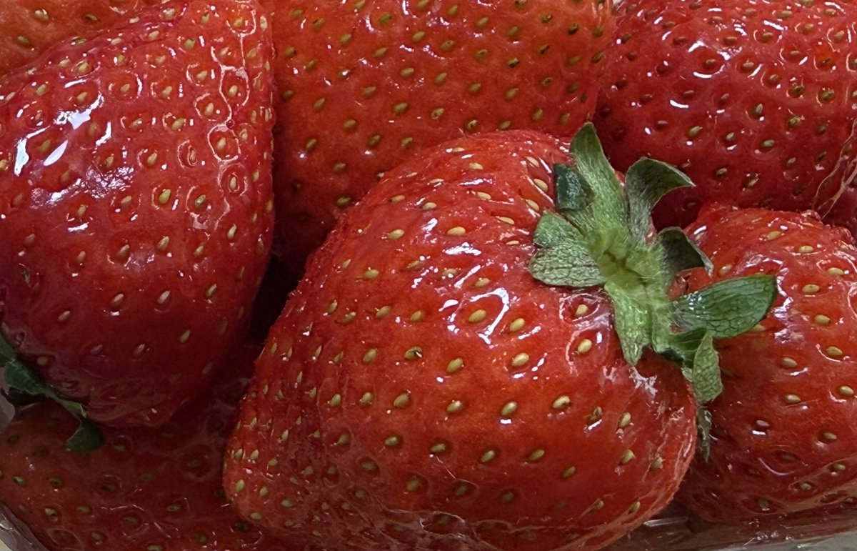 村田らむ tweet media