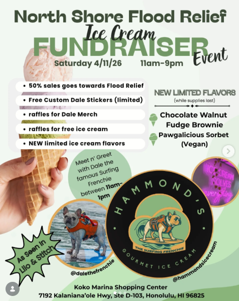 Dale | The Surfing Frenchie tweet media