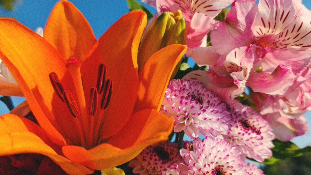 みちゃん ･*🍟 tweet media