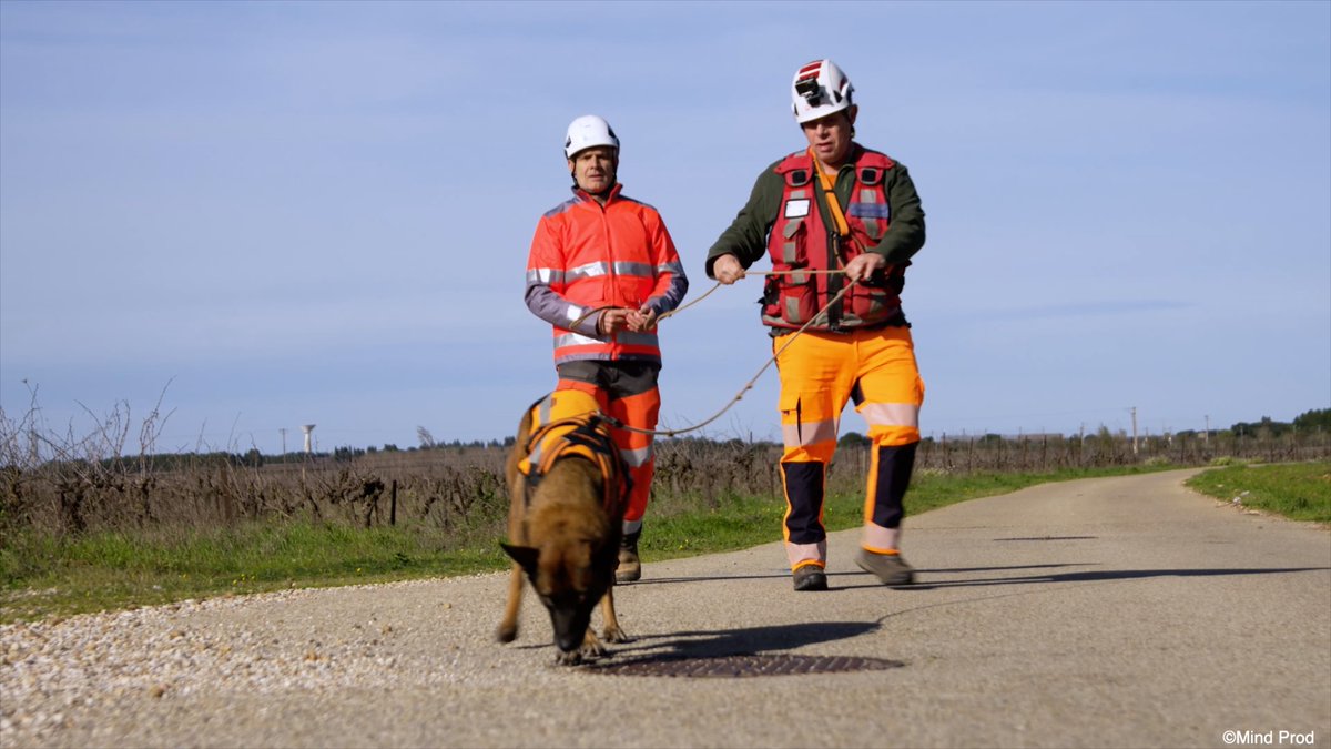 ecom_news's tweet image. 💧 #Nîmes : #Veolia utilise l’#IA et des chiens renifleurs pour traquer les fuites d’#eau sur les 1 700 km de canalisations du réseau ! Découvrez notre reportage vidéo exclusif 🔗 bit.ly/471gyA7 #Innovation  @Veolia_FR