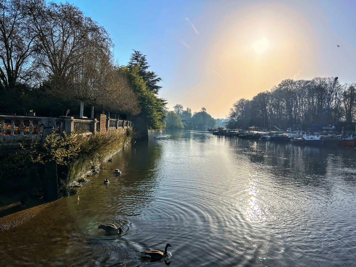 Ralph Morton tweet media