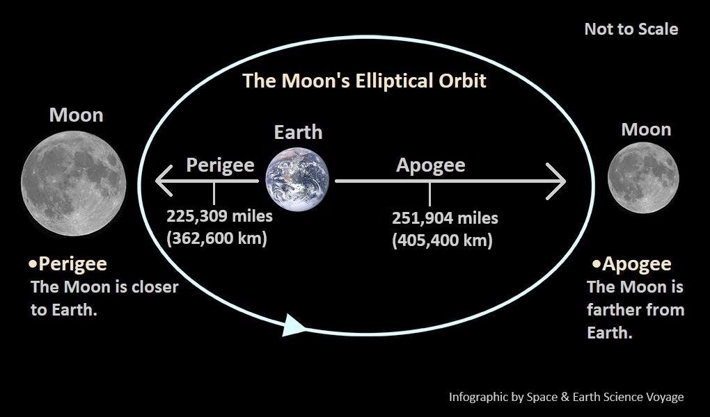 Drunken Mess 🥃 tweet media